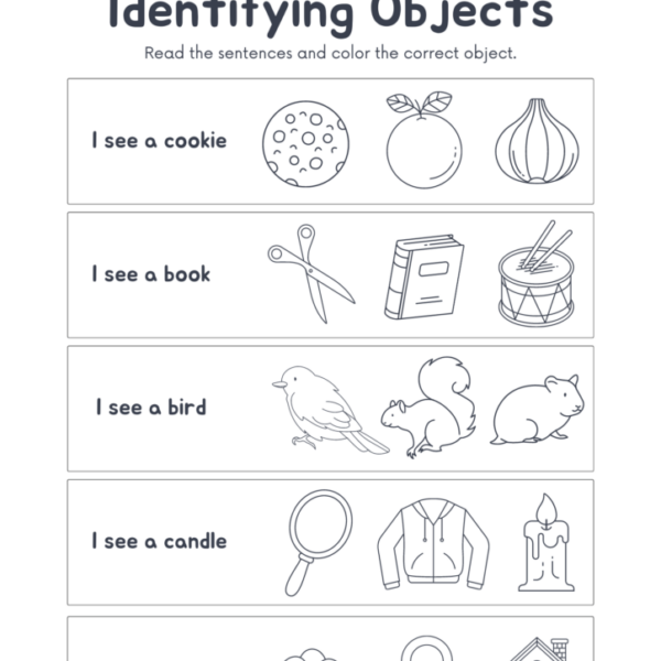 Identify the Objects Worksheets for Child Development