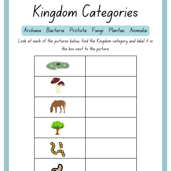 Animal Kingdom Worksheets for Child Development