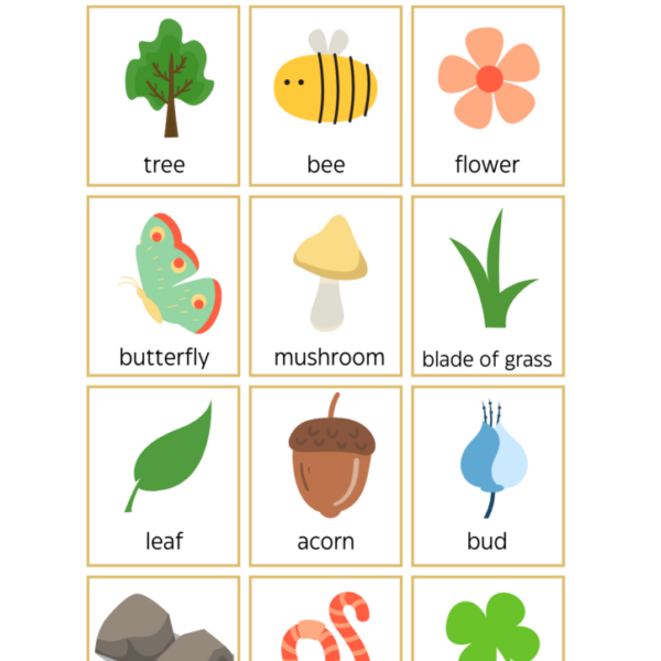 Nature and Food Worksheets for Child Development